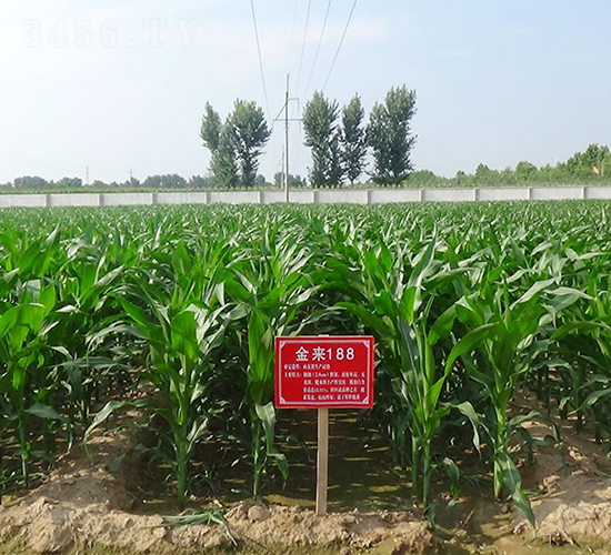 ����(l��i)188-���׷N��-����(l��i)�N�I(y��)