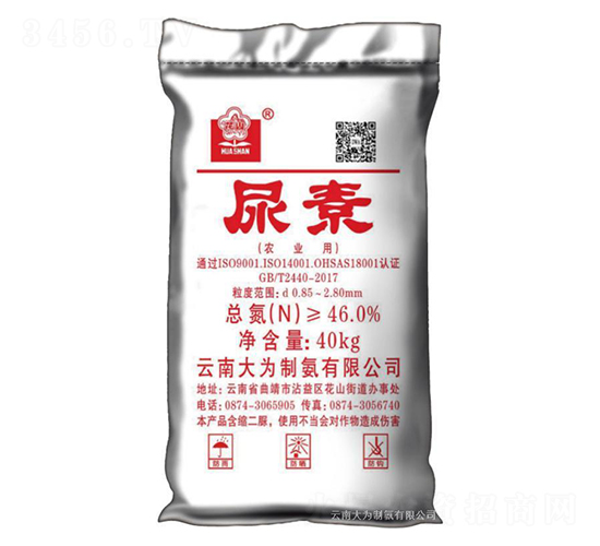 40kg����-����ư�