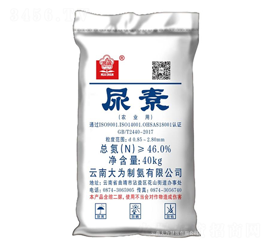 ����-����ư�