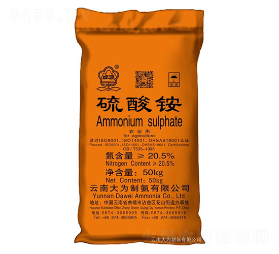 �����@-����ư�