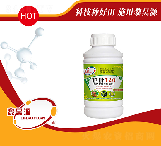 ���o(h��)��΢�������-�o(h��)�~120-���Դ