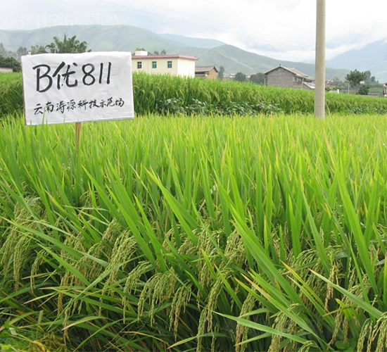 B��(y��u)811-ˮ���N��-�����r(n��ng)�I(y��)