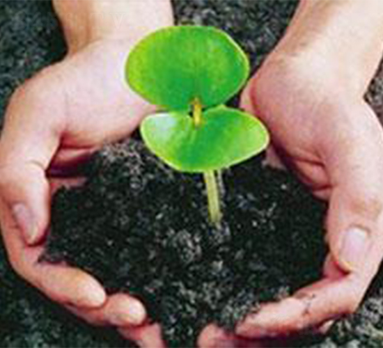 �Ϲ��ЙC��-�ɺ�