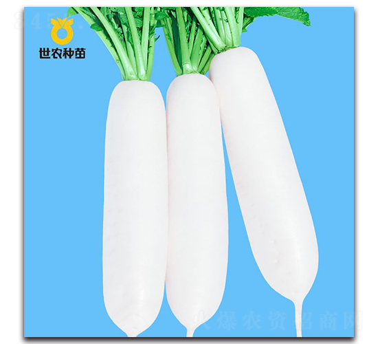 ���r(n��ng)����-�}���N��-���r(n��ng)�N��