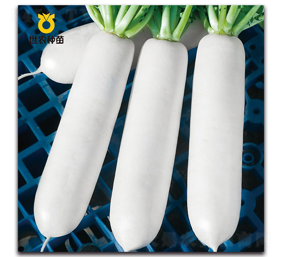 ����-�}���N��-���r(n��ng)�N��