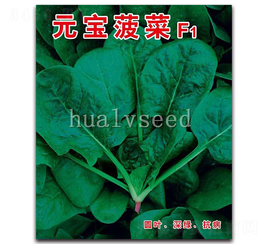 Ԫ������F1-���˷N��-�A�G