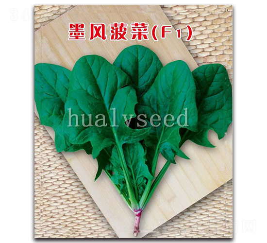 ī�L����F1-���˷N��-�A�G