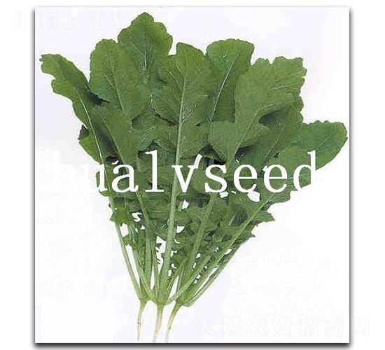 �~���}��-�}���N��-�A�G