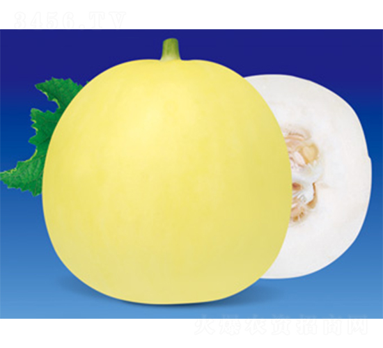 ������-��ϷN��-����N�I(y��)