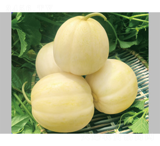 ����17-��ϷN��-����N�I(y��)