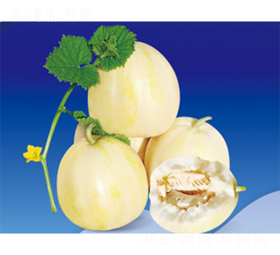 ����666-��ϷN��-����N�I(y��)