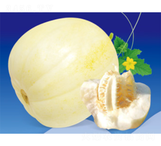 ������-��ϷN��-����N�I(y��)