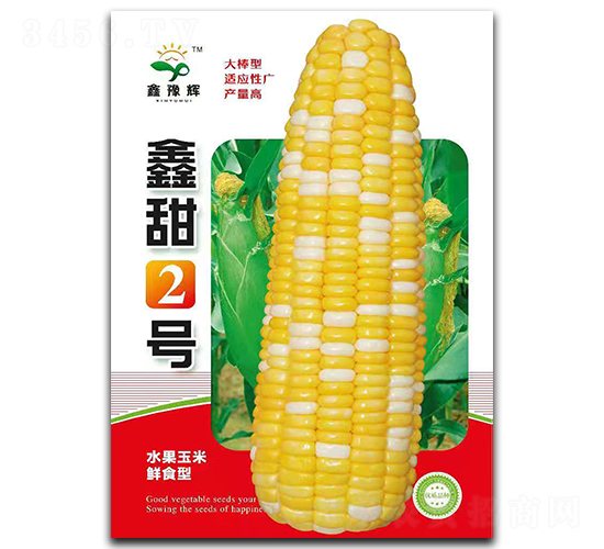 鑫甜2號-玉米種子-豫輝種業(yè)