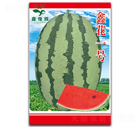 �λ�һ̖-���ϷN��-ԥ�x�N�I(y��)