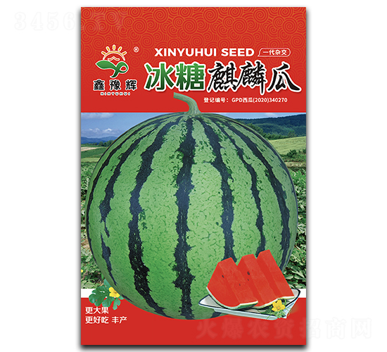 ���������-���ϷN��-ԥ�x�N�I(y��)