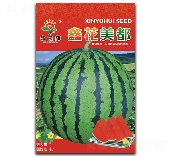 鑫花美都-西瓜種子-豫輝種業(yè)