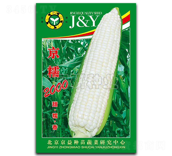 京糯2000-糯玉米種子-國研種業(yè)