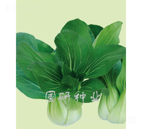 �����๣��-�Ͳ˷N��-��(gu��)�зN�I(y��)