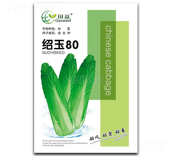 紹玉80-白菜種子-國研種業(yè)