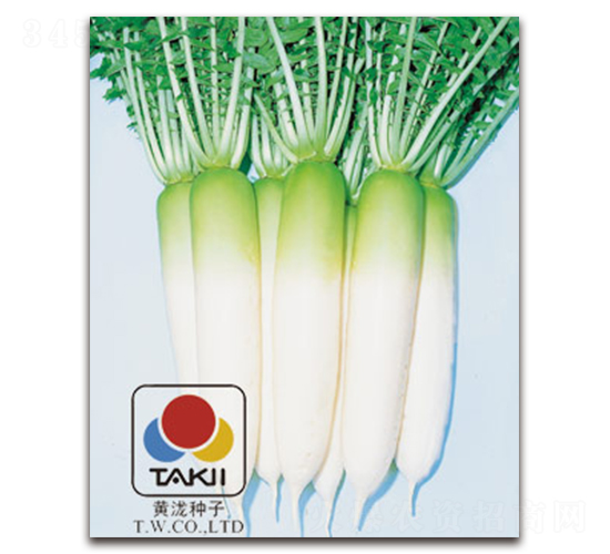 耐病總太-蘿卜種子-黃瀧種子