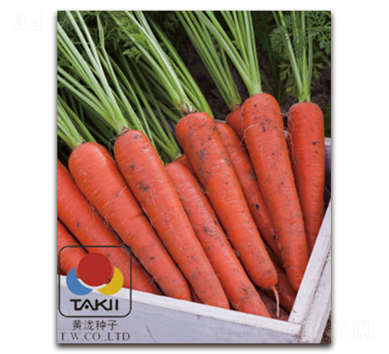 �����t-���}���N��-�S�{�N��