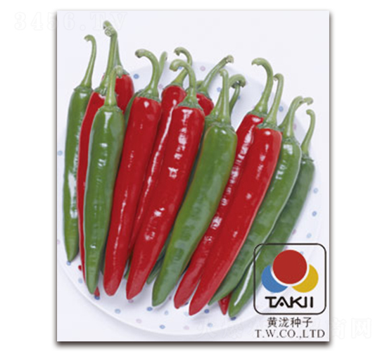 天驕三號(hào)-辣椒種子-黃瀧種子