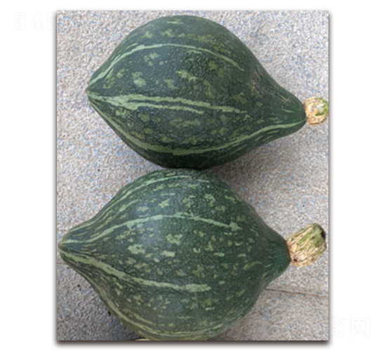 ����������-�ϹϷN��-�S�{�N��