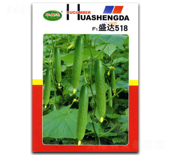 ʢ�_518-�S�ϷN��-�������