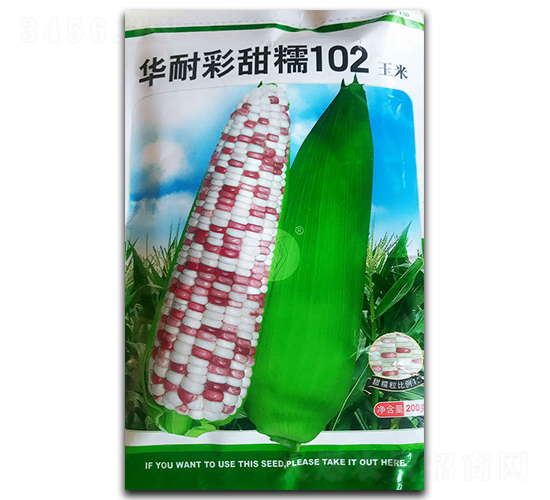 華耐彩甜糯102-玉米種子-官明天成