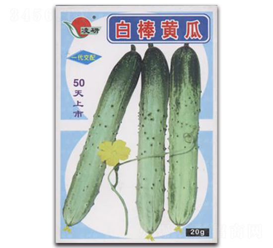 白棒黃瓜-黃瓜種子-仁大農(nóng)業(yè)
