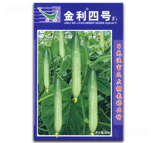 ������̖(h��o)F1-�S�ϷN��-�ʴ��r(n��ng)�I(y��)