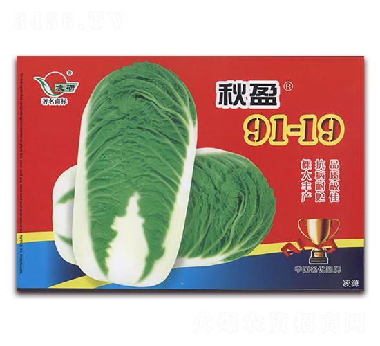 ��ӯ91-19-�ײ˷N��-�ʴ��r(n��ng)�I(y��)