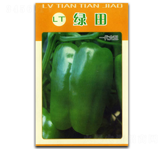 �G��-�����N��-�������