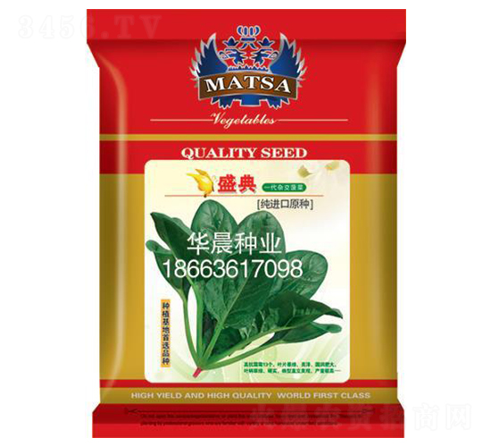 盛典-菠菜種子-華晨種業(yè)