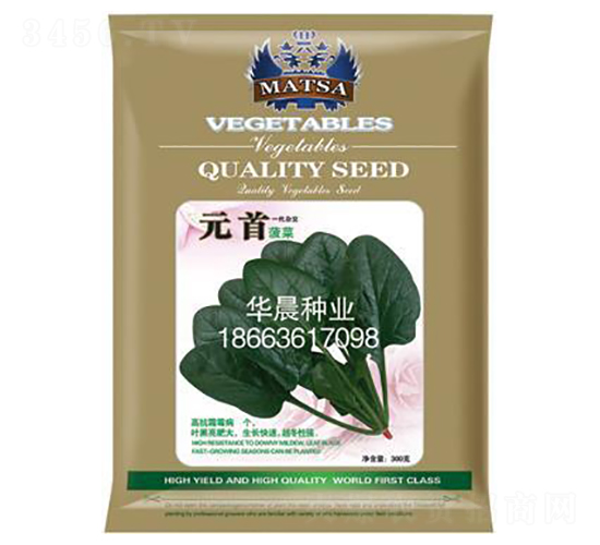 元首菠菜-菠菜種子-華晨種業(yè)
