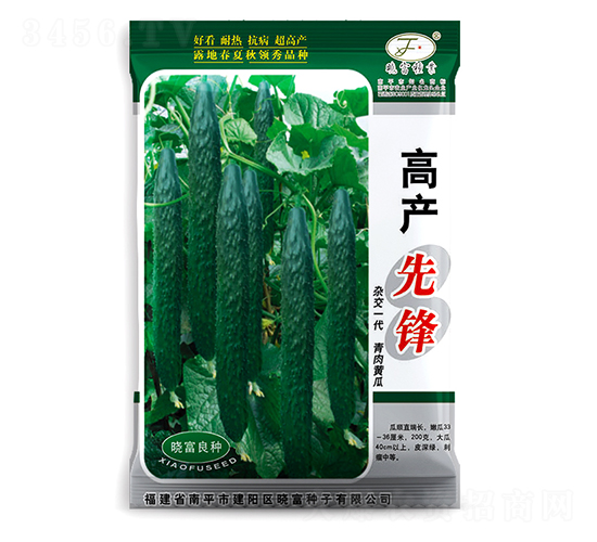 高產(chǎn)先鋒-黃瓜種子-曉富種子