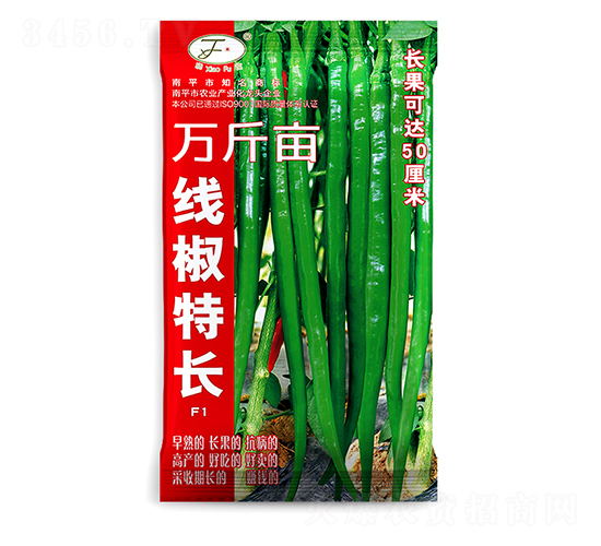 線椒特長-辣椒種子-曉富種子