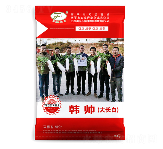 韓帥大長白-蘿卜種子-曉富種子