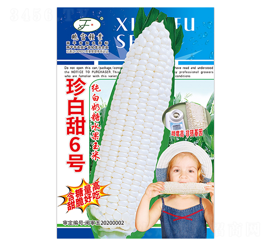 珍白甜6號-玉米種子-曉富種子