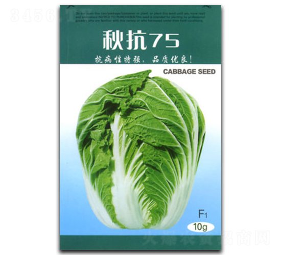 �￹75-�ײ˷N��-�������