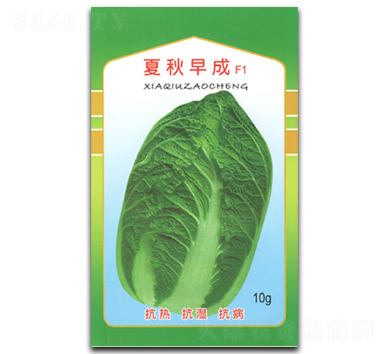 �������-�ײ˷N��-�������