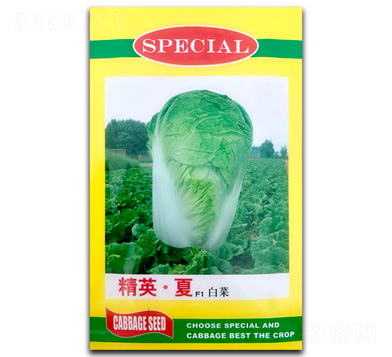 ��Ӣ��F1-�ײ˷N��-�������