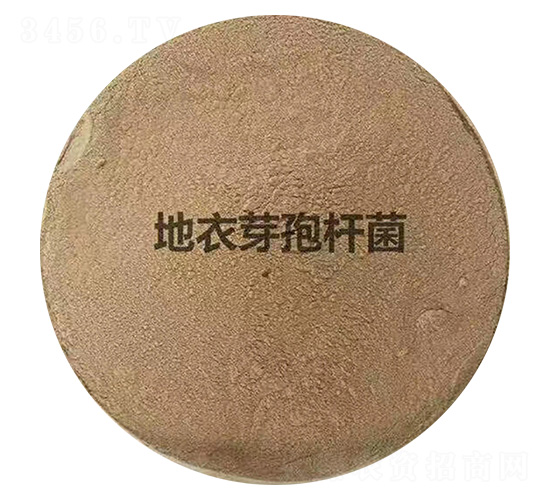 ����ѿ�ߗU��-�P����