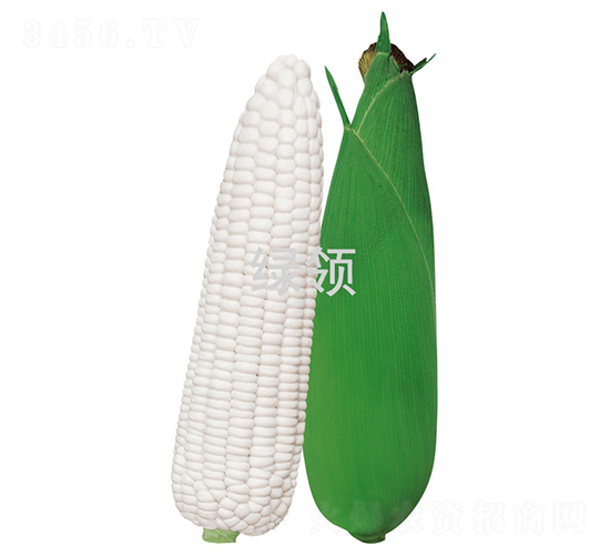 ��Ŵ1̖-���׷N��-�G�I(l��ng)�N�I(y��)