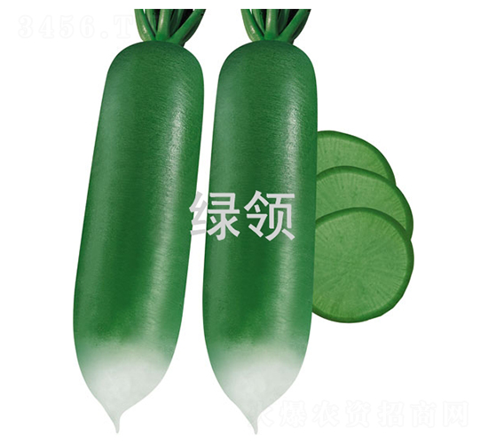 ������-�}���N��-�G�I�N�I(y��)