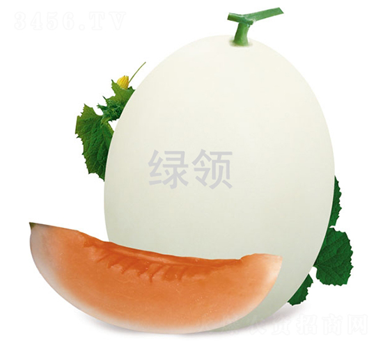 L-1548-��ϷN��-�G�I(l��ng)�N�I(y��)