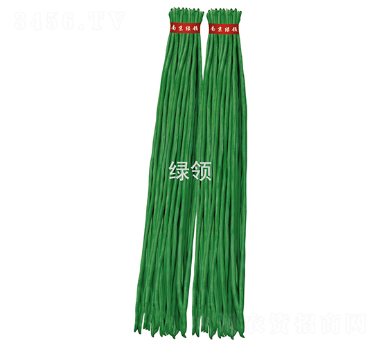 J14-80-豆角種子-綠領(lǐng)種業(yè)