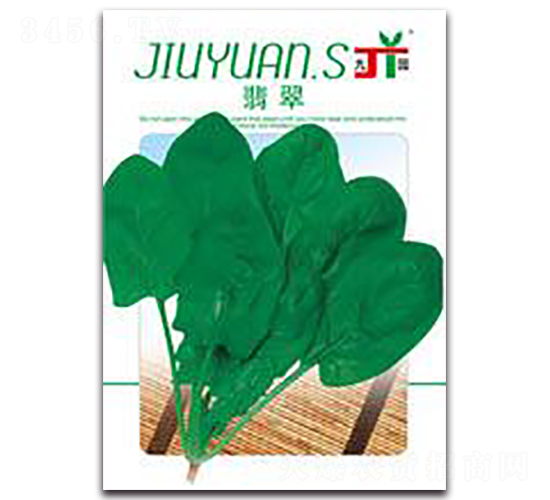 翡翠-菠菜種子-三主糧
