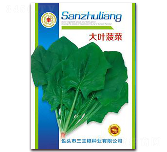 ���~����-���˷N��-�����Z