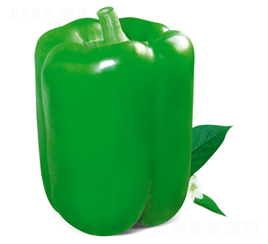 鹿椒十九號-辣椒種子-三主糧